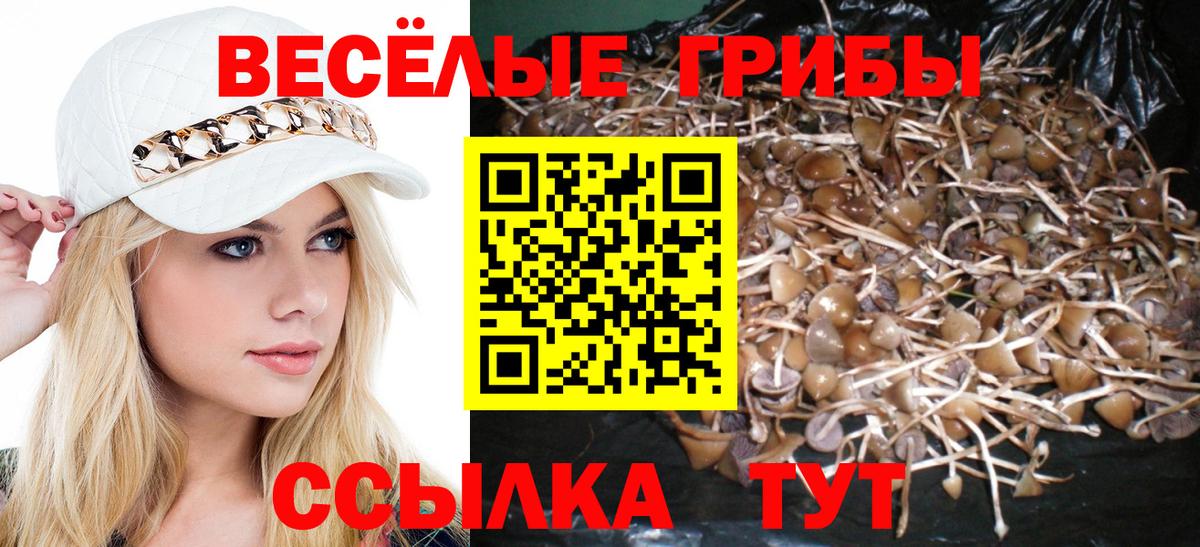 Псилоцибиновые грибы ЛСД  Псилоцибиновые грибы Magic Shrooms  Петрозаводск  Вход с VPN 