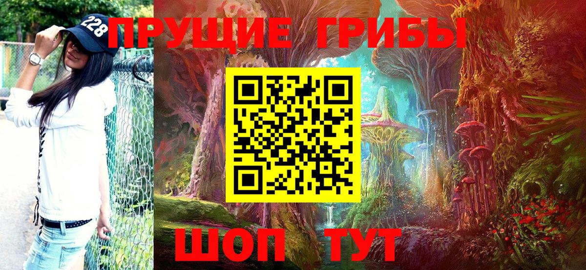 Галлюциногенные грибы Psilocybine cubensis Петрозаводск